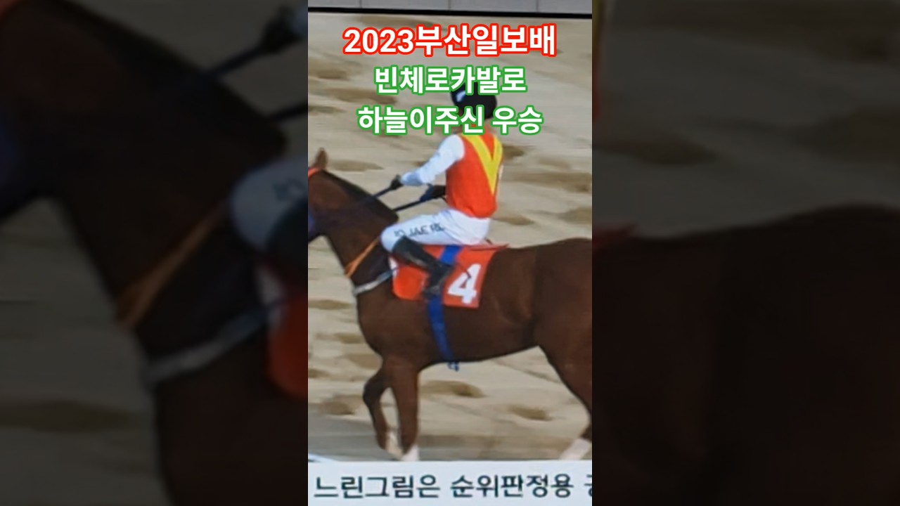 그런사연이 있었구나!#경마 #말 # 대상경주 #달려라말 #shorts #horse