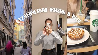 ВЛОГ: СТУДЕНЧЕСКАЯ ЖИЗНЬ В ВЕНЕ