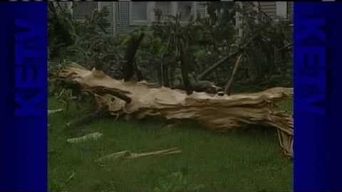 Residents React To Explosive Lightning Strike