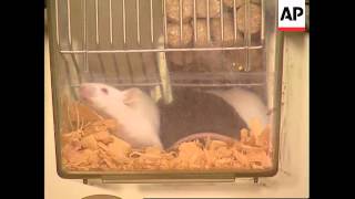 KENYA: MICE & HUMAN DNA