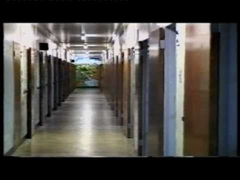 Нельсон Мандела и борьба против апартеида