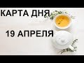 19 АПРЕЛЯ Карта дня Все знаки Таро гадание