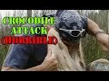 Crocodile attack horrible  never play with crocodiles  faillord international