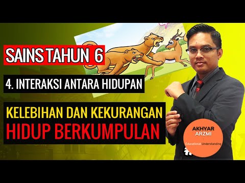 Video: Apakah kelebihan aktiviti berkumpulan?