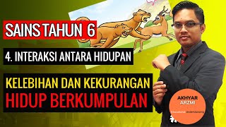 Sains Tahun 6 Kelebihan Dan Kekurangan Haiwan Yang Hidup Berkumpulan Youtube