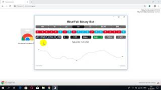 RISE/FALL BINARY BOT | 12 MIN. TRADING | NO MARTINGALE