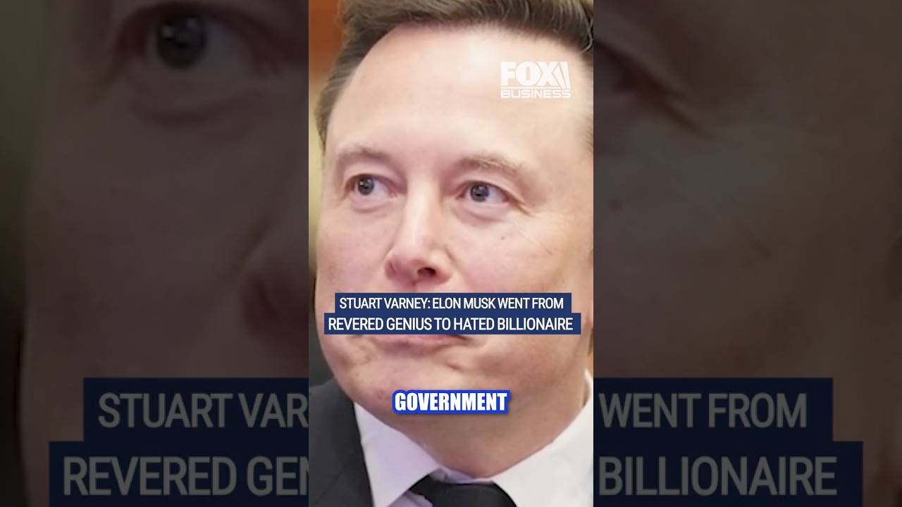 Stuart Varney: Elon Musk went from revered genius to hated billionaire 