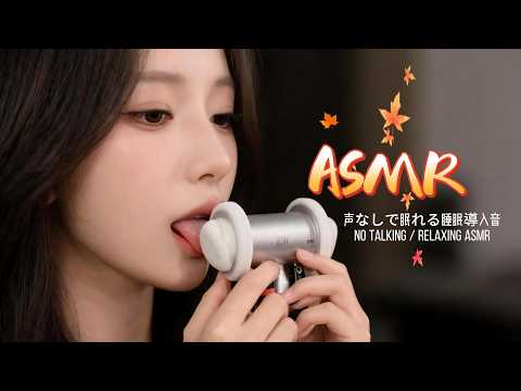 【ASMR】ゾクゾクする最高のASMR音集｜耳掃除・耳かき・タッピング・マイク接触音｜Relaxing Trigger Sounds