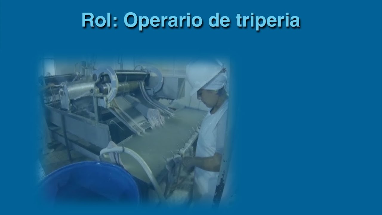 Escuela de Carnes - Asociación Civil Indeser - Rol: Operario de ...