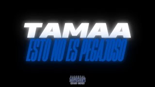 Download Lagu TAMAA - Esto No Es Pegajoso (Audio Oficial) MP3