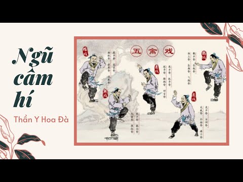 Video Hướng dẫn tập Ngũ cầm hí - youtube