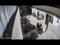 Cat Sets Off Chain Reaction of Parked Motorcycles