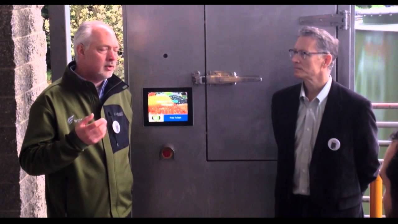 WISErg and Central Markets on Sustainability