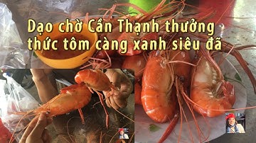 HAI PHƯỢNG I DẠO CHỢ CẦN THẠNH THƯỞNG THỨC TÔM CÀNG XANH SIÊU NGON