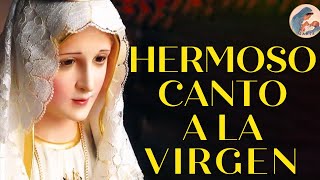 Preciosas Canciones de la Virgen || Que Su Luz de Madre Nos Ilumine Siempre, Virgen Santa 2024 by La Voz de María 214 views 2 weeks ago 1 hour, 31 minutes