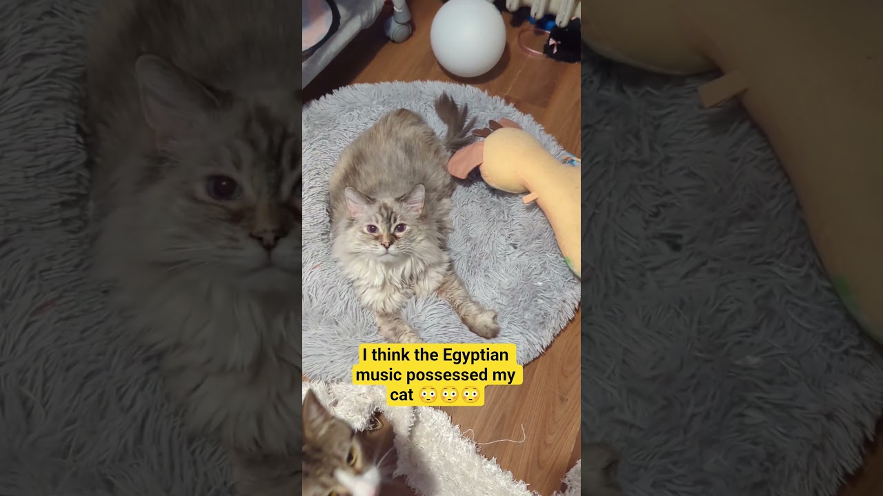 the ending actually scared me 😳