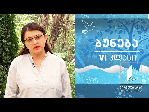 ვიდეო: ქიმიური დამწვრობის მკურნალობის 3 გზა