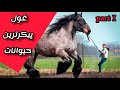 پنج حیوان غول پیکر جهان از یک خرگوش بزرگ گرفته تا یک روتیل غول پیکر همه در این ویدیو