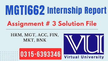 MGTI662 Assignment 3 solution 2025 #mgti662 internship report