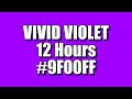 BLANK SCREEN OF VIVID VIOLET COLOR FOR 12 HOURS – FULL HD – 1920x1080 - HEX # 9F00FF