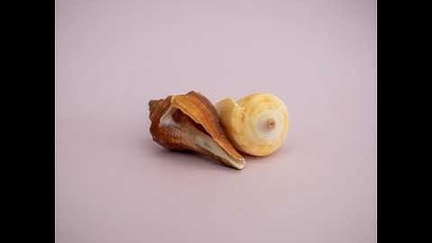 Simpli - Mood to Take