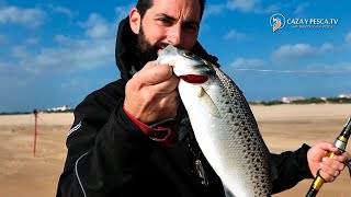 【𝐁𝐚𝐢𝐥𝐚𝐬 𝐚 𝐒𝐮𝐫𝐟𝐜𝐚𝐬𝐭𝐢𝐧𝐠 𝐛𝐚𝐣𝐨 𝐞𝐥 𝐭𝐞𝐦𝐩𝐨𝐫𝐚𝐥】Pesca en La Flecha del Rompido, Documental