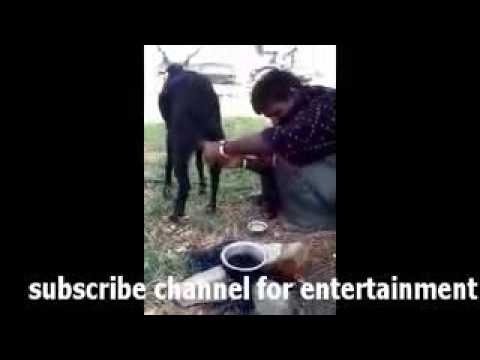 2016 - Street Talent Pakistan Très Drôle Vidéo Hahaha