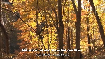 أروع التلاوات -  محمد اللحيدان -  تراويح 1436  ( رَبَّنَا لاَ تُؤَاخِذْنَا إِن نَّسِينَا )