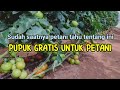 Pupuk gratis untuk petani saatnya pertanian indonesia tahu tentang ini