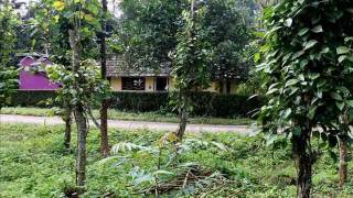 plot for sale near Vagamon,valakodu at Idukki ,Contact ph:918606382383, 919539464185