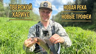 Тверской Хариус. Новая река, новые трофеи!
