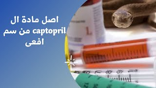 كشف سر مادة ال captopril المستخدمة فى علاج ضغط الدم المرتفع