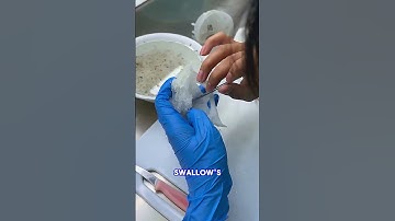 "Swiftlet Nest Cleaning Process Explained"