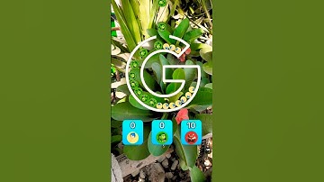 Fill the shape with inside out balls Brain test iq Challenge