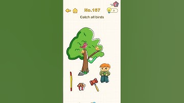 Catch all birds | Brain out | | Level 167 |