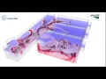 CFD in water & wastewater treatment: Mixing tanks, tracer dispersion