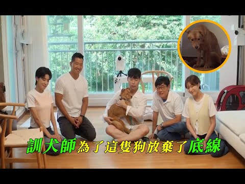 為了這隻狗，主人等了9個月，訓犬師則表現得很緊張，甚至為它放棄了原則問題