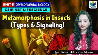 Metamorphosis in Insects and Its Types || Hormonal control || Developmental Biology | CSIR NET 2024
