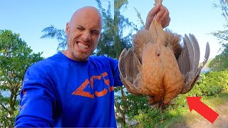 3 Days Eating Only What I Catch in Hawaii (Chicken Edition)