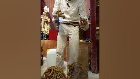 CHOÁNG VÁNG BÌNH SÂM TỰ NHIÊN 60 NĂM TUỔI ĐẲNG CẤP NGÂM 20 NĂM CHỈ CÓ Ở GINSENG A2000