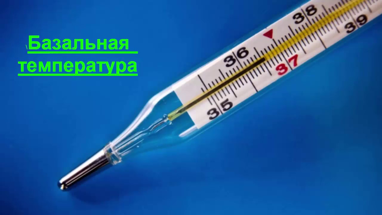 Базальная температура. зачем это делают?мои графики)