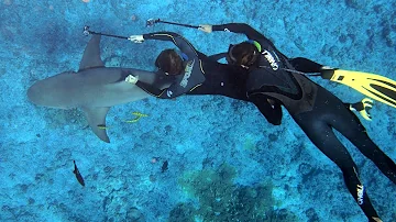 ¿Cuál es el sueldo de un biólogo marino?