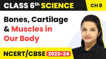 Class 6 Science Chapter 8 | Body Movements - Bones, Cartilage & Muscles in Our Body