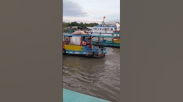 #new : nhạc nền. cái đôi vàm. cà mau.