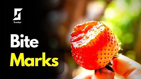 BITE  MARKS - Forensic Science || Scoolya ||