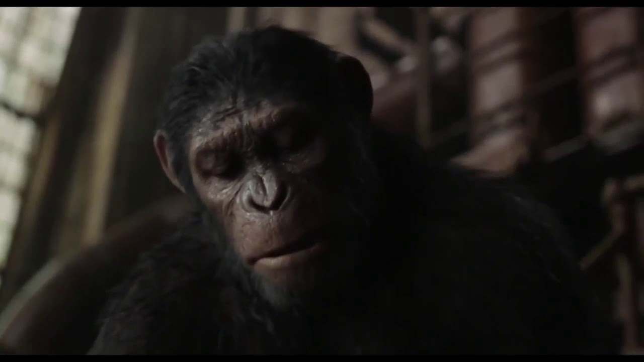Планета обезьян революция 2014 субтитры обезьян