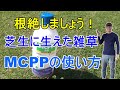 [ガーデニング] 芝生に生えた雑草の根絶方法「プロガーデナーも実践する芝生に生えたクローバーの根絶方法」