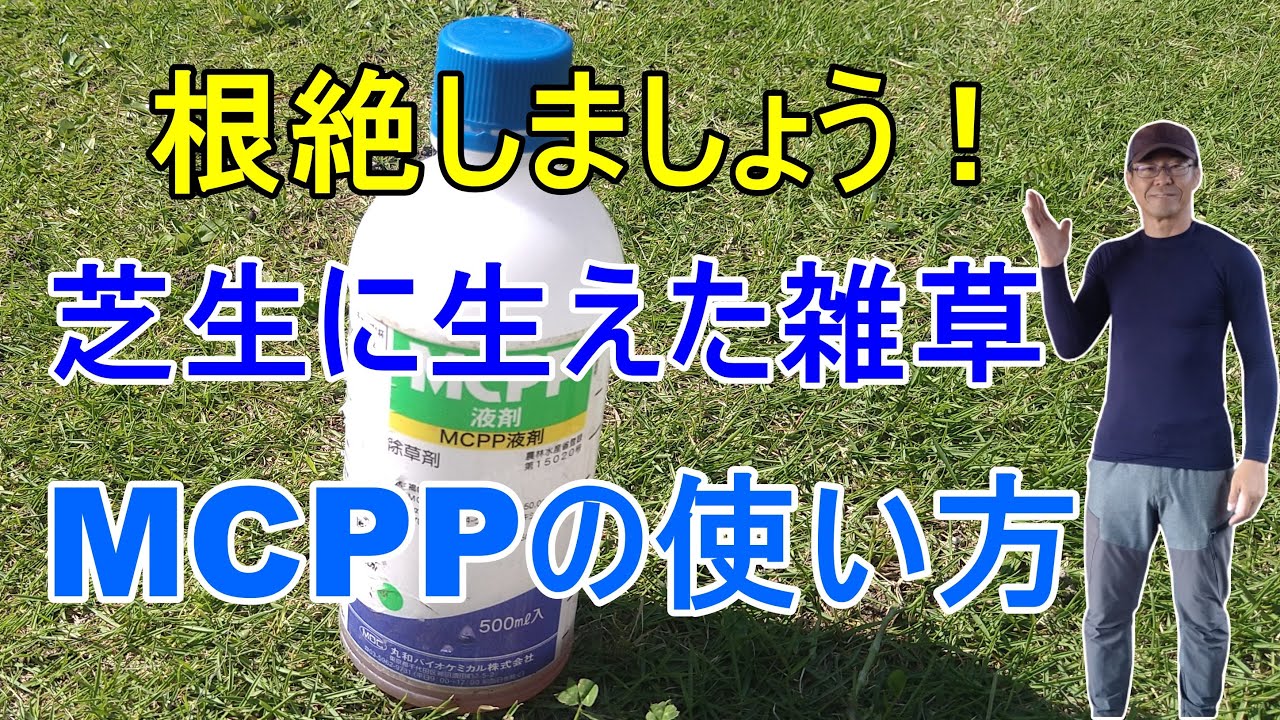 動く雑草 ガーデニング] 芝生に生えた雑草の根絶方法「プロガーデナーも実践する