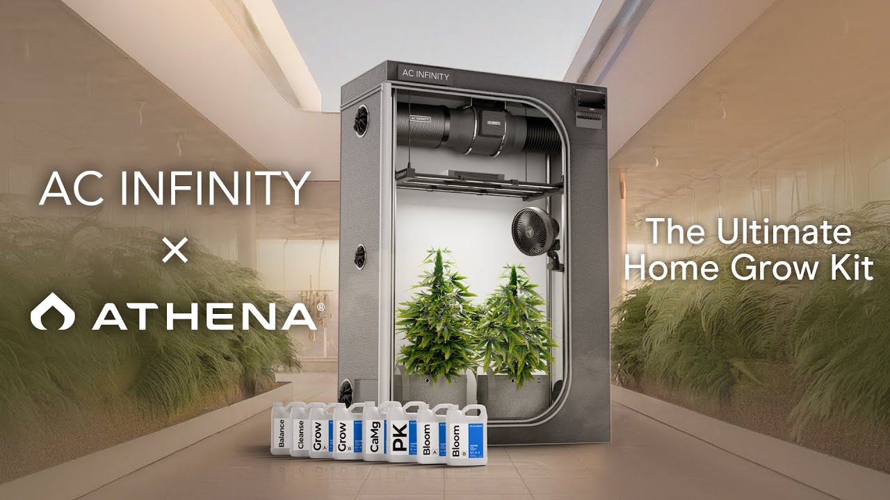 Easy Grow Tent Setup For Beginner Cannabis Growers | AC Infinity x Athena® Cultivator Kit