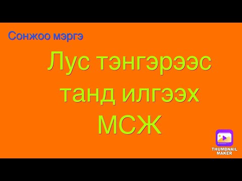 Видео: Цэцэрлэгт байгаа дун, хорхойтой хэрхэн харьцах талаар